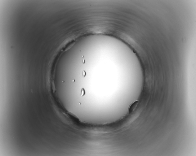 X0000088680530200706211910