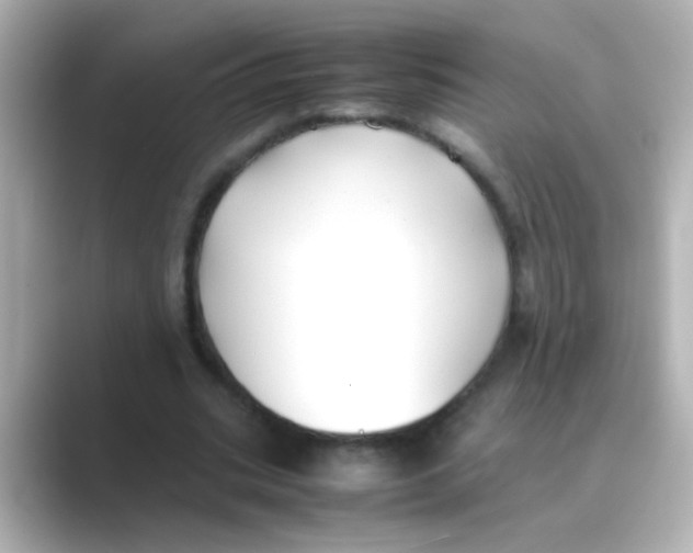 X0000088680535200706211910