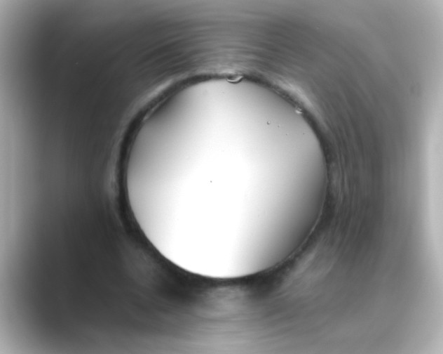 X0000088680536200706211910