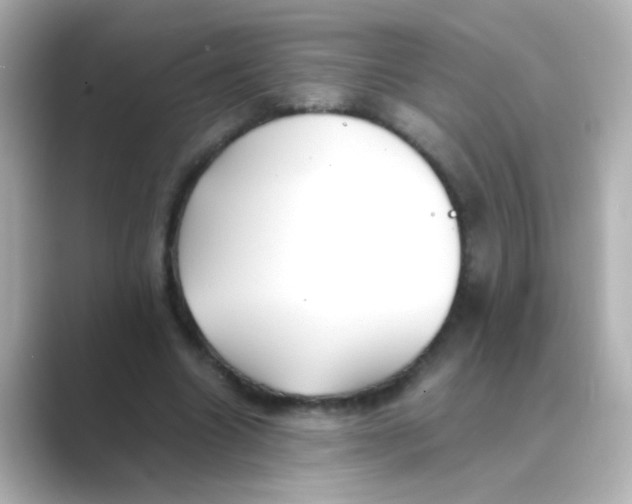 X0000088680538200706211910