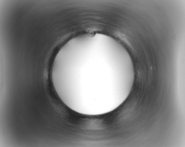 X0000088680539200706211910