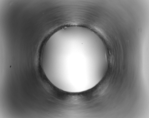 X0000088680540200706211911