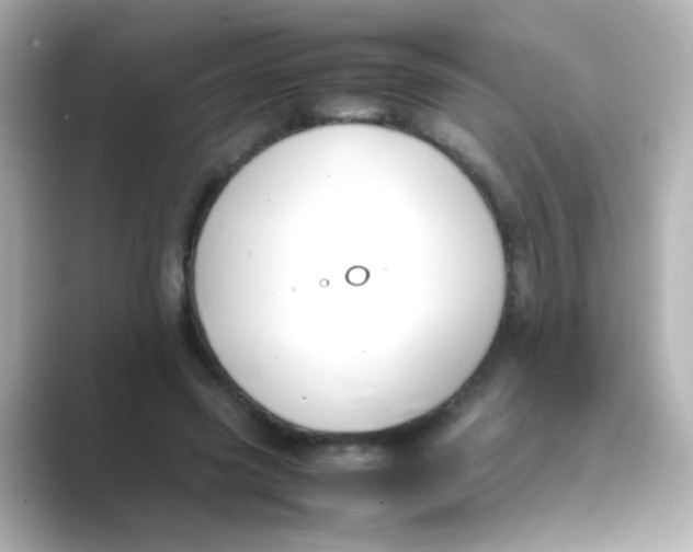 X0000088680541200706211911