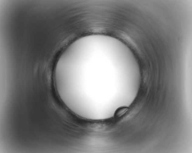 X0000088680542200706211911