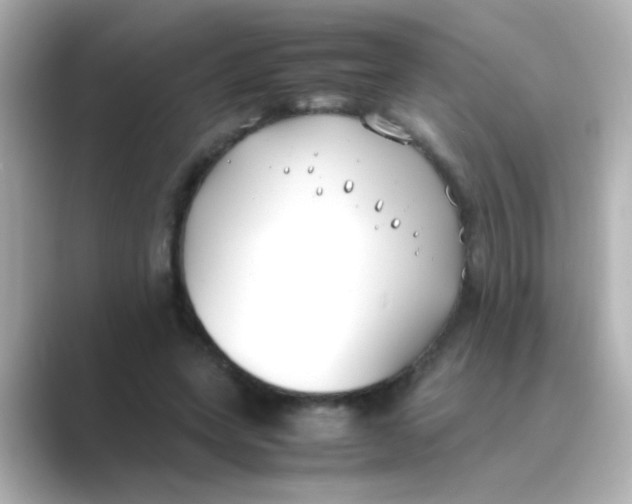 X0000088680543200706211911