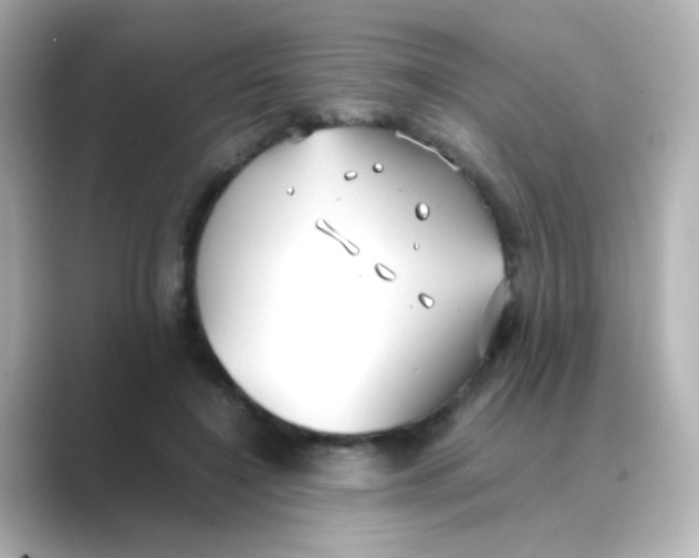 X0000088680548200706211911