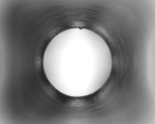 X0000088680549200706211911