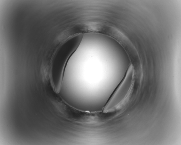 X0000088680552200706211911