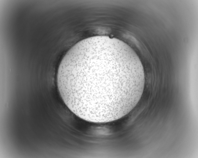 X0000088680553200706211911
