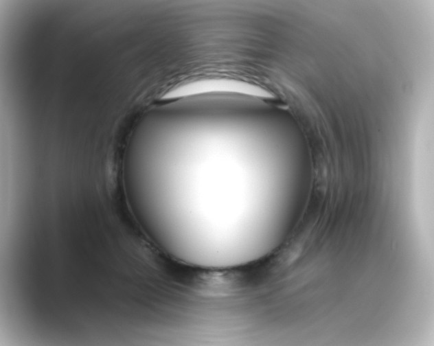 X0000088680558200706211911