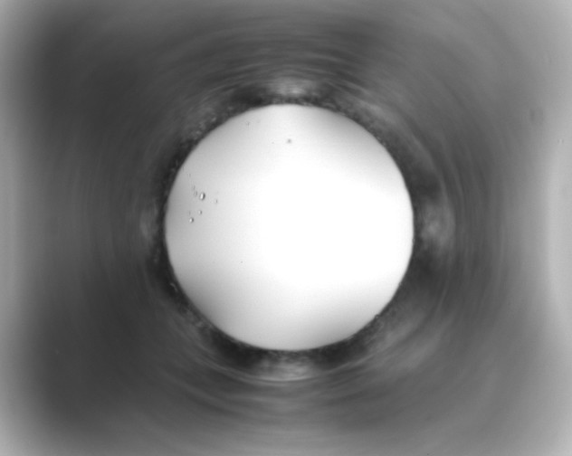 X0000088680559200706211911