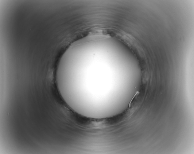 X0000088680560200706211911