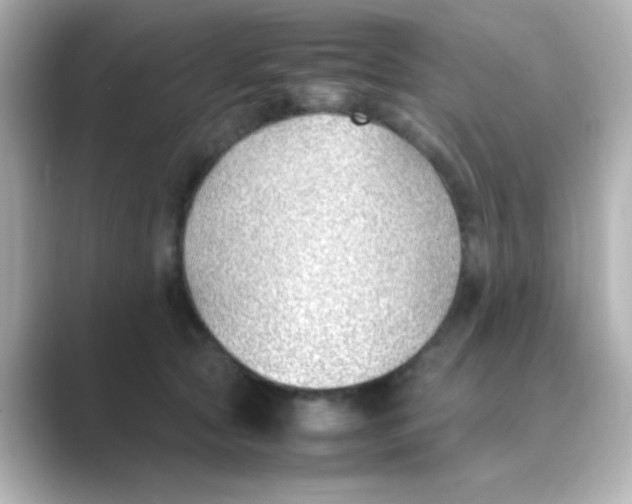 X0000088680561200706211911