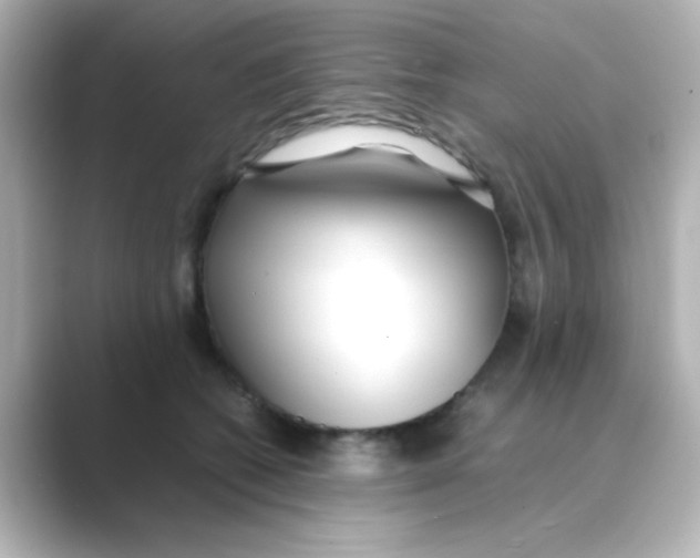X0000088680562200706211911