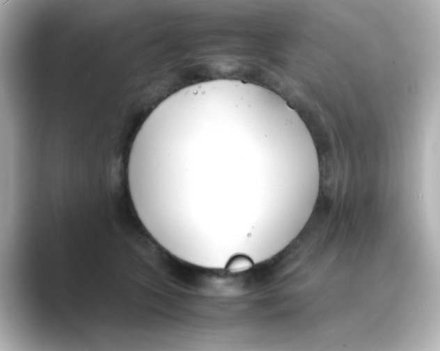 X0000088680563200706211911