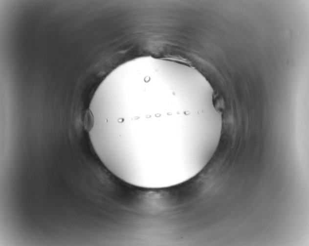 X0000088680566200706211911