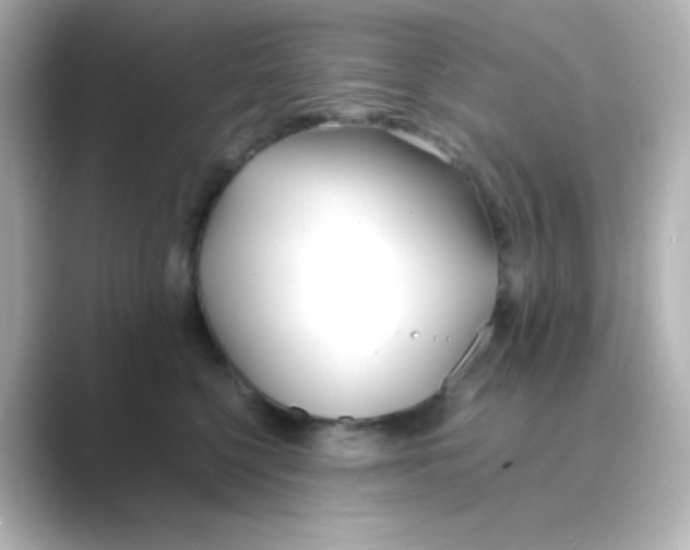 X0000088680568200706211911