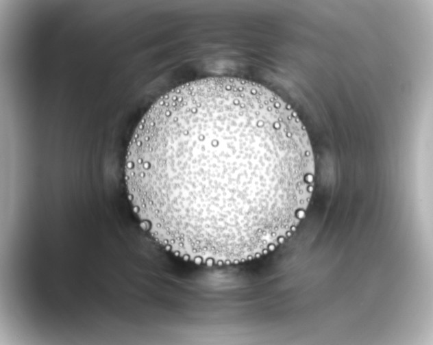 X0000088680569200706211911