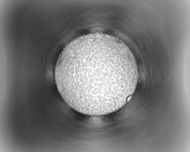 X0000088680573200706211911