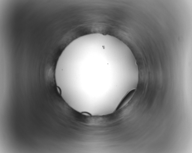 X0000088680575200706211911