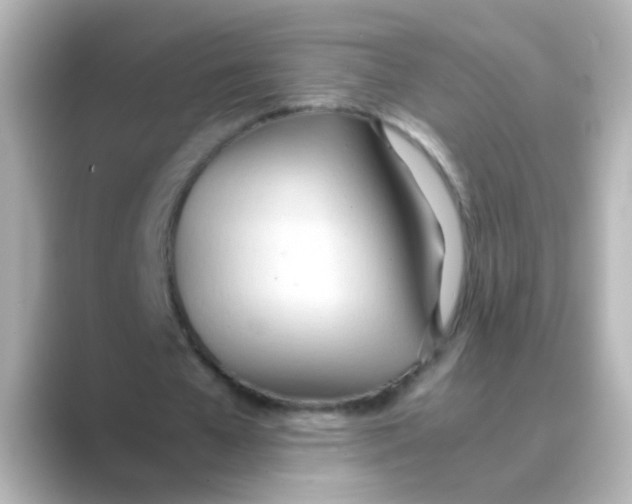 X0000088680577200706211910