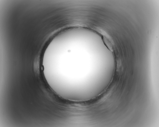 X0000088680580200706211910