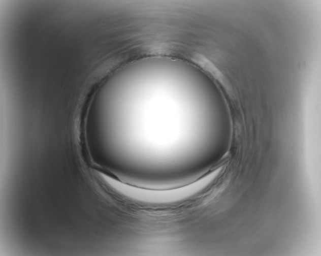 X0000088680581200706211910
