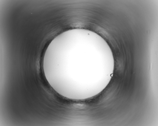X0000088680586200706211910