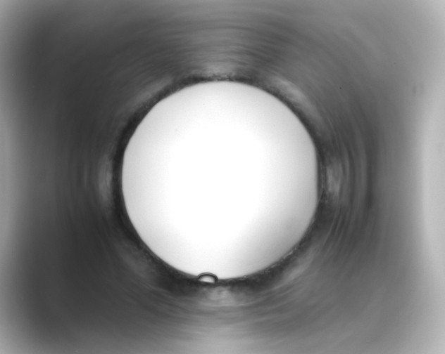 X0000088680588200706211910