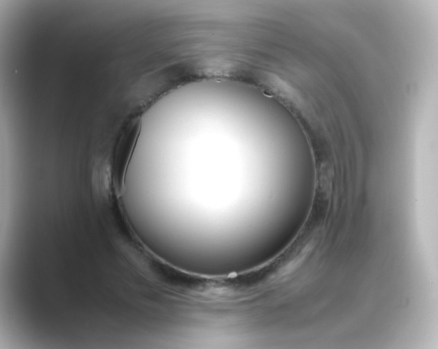 X0000088680589200706211910