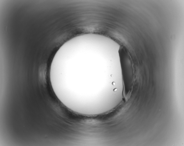 X0000088680590200706211910