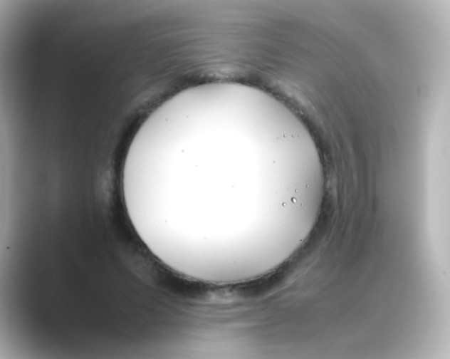X0000088680591200706211910