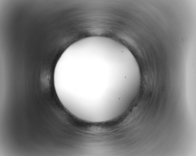 X0000088680596200706211910