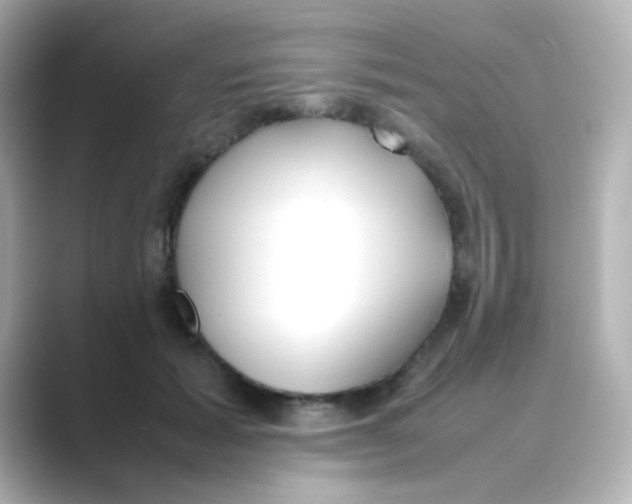 X0000088680605200706211910