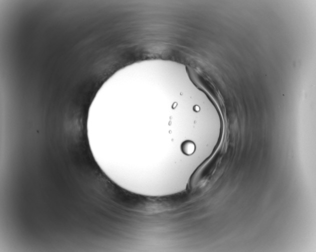 X0000088680608200706211910