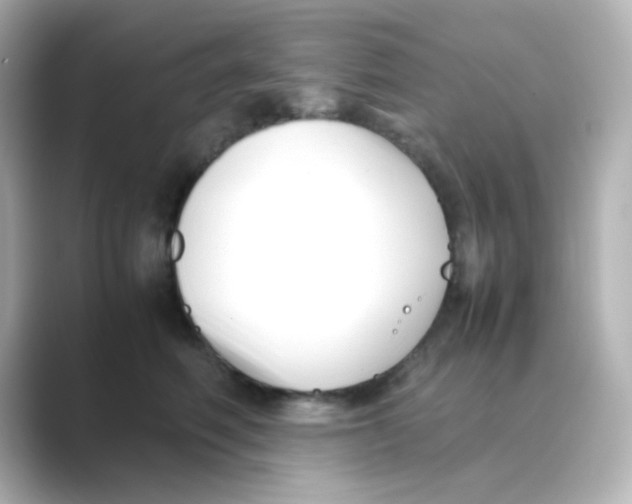 X0000088680614200706211910