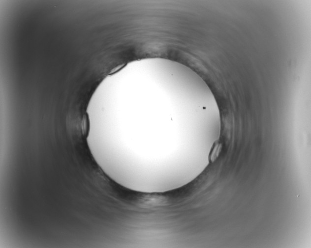 X0000088680617200706211910