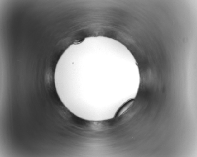 X0000088680623200706211910