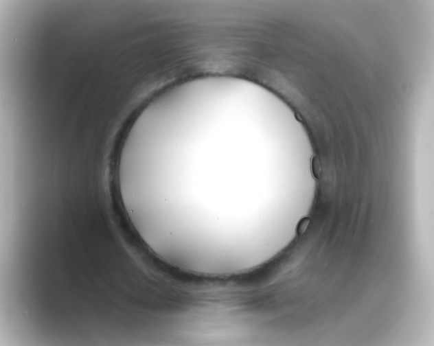 X0000088680626200706211909