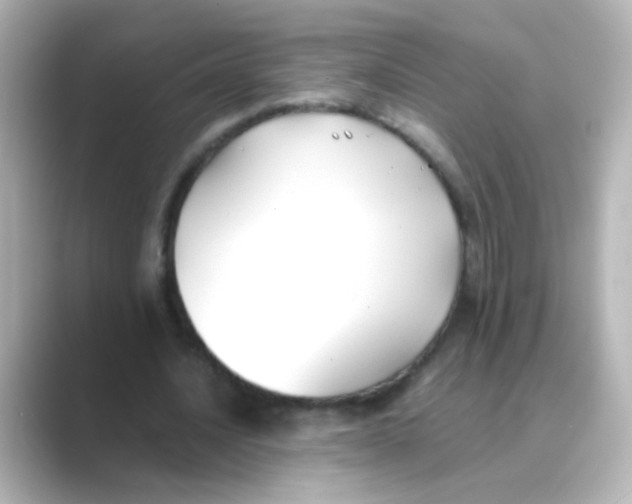 X0000088680628200706211909