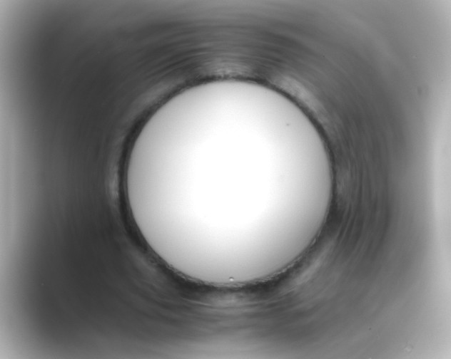 X0000088680629200706211909