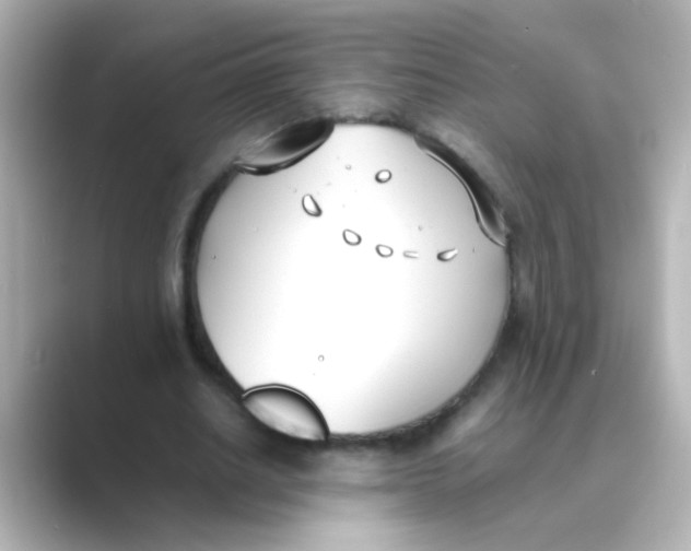 X0000088680630200706211909