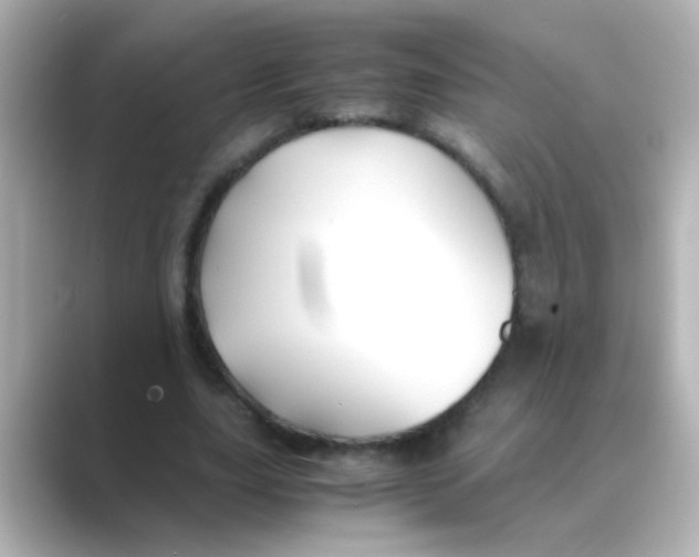 X0000088680631200706211909