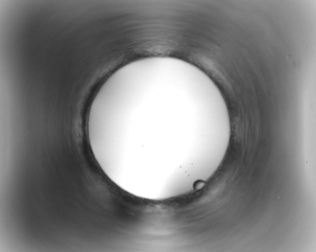 X0000088680634200706211909