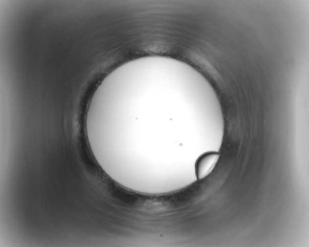 X0000088680635200706211909