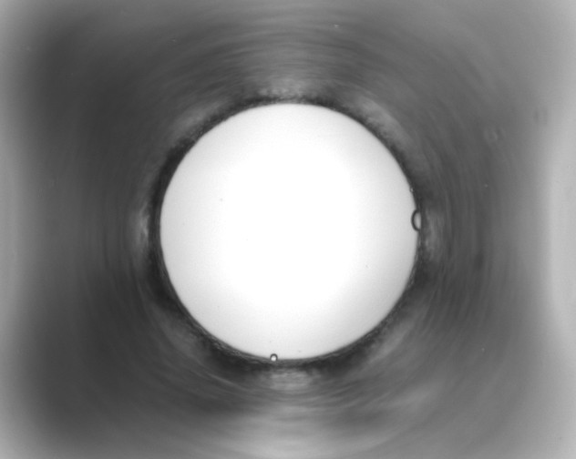 X0000088680636200706211909