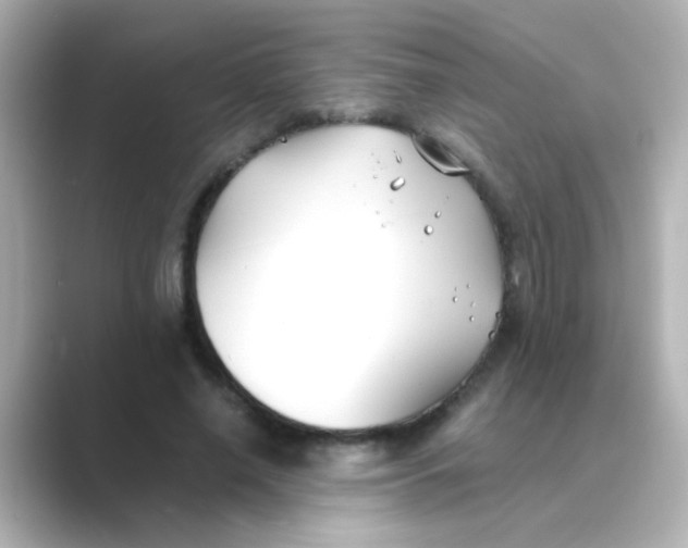 X0000088680638200706211909