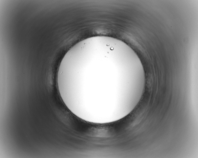X0000088680639200706211909