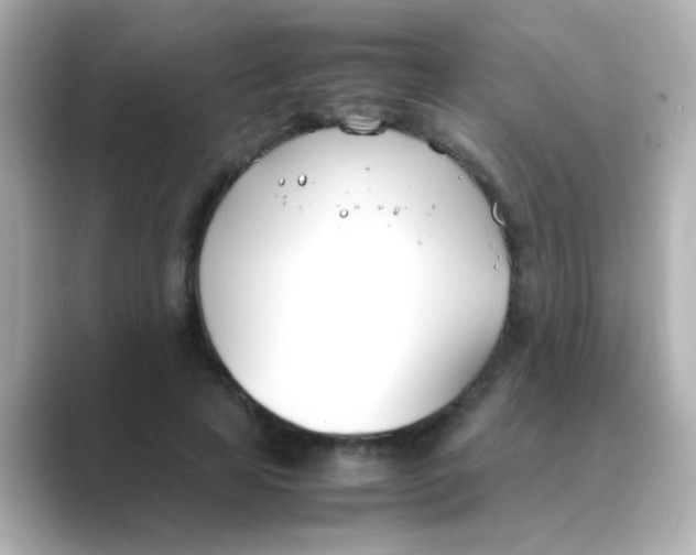 X0000088680641200706211909