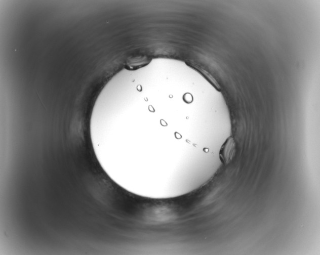 X0000088680643200706211909